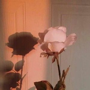 Meet your Posher, Man linh